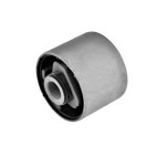 Silent Bloc de Bras de Suspension Pour Nissan Maxima/Maxima QX IV 5513095F0A