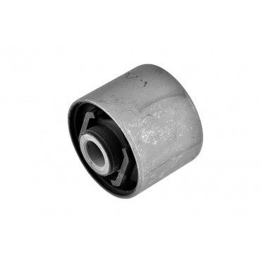 Silent Bloc de Bras de Suspension Pour Nissan Maxima/Maxima QX IV 5513095F0A