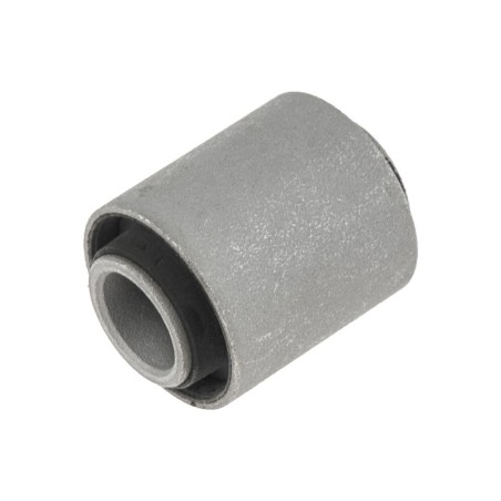 Silent Bloc de Bras de Suspension Pour Nissan Expert 545000M065 545002F500