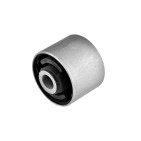 Silent Bloc de Bras de Suspension Pour Nissan Maxima/Maxima QX IV 551308F800
