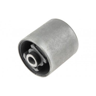 Silent Bloc de Bras de Suspension Pour Nissan Primera 55130AU001 55130AV700