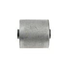 Silent Bloc de Bras de Suspension Pour Nissan Primera 55130AU001 55130AV700