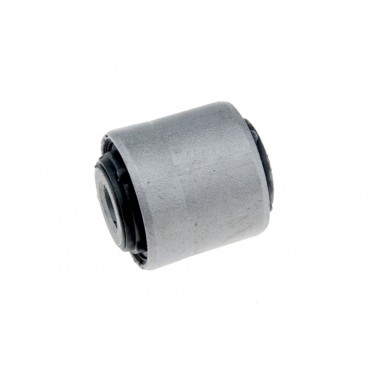 Silent Bloc de Bras de Suspension Pour Subaru Tribeca 20254XA03A
