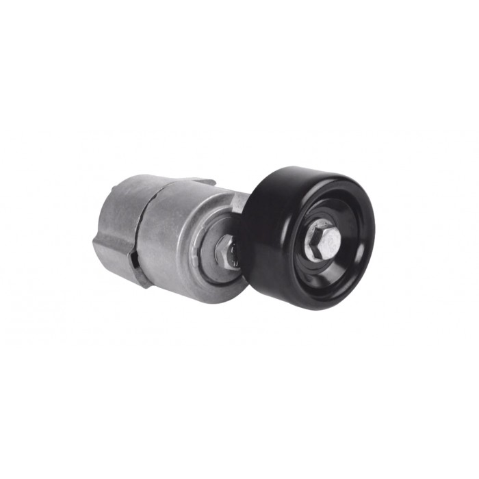 Tendeur de Courroie d'Accessoire pour GRANDEUR SANTA FÉ SPORTAGE III 2528125000