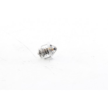 Thermostat d'Eau Pour Renault Opel Fiat Ford 212006N210 4801924 7615235 1953232