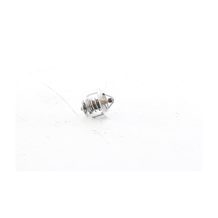Thermostat d'Eau Pour Renault Opel Fiat Ford 212006N210 4801924 7615235 1953232