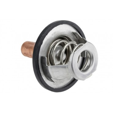 Thermostat d'Eau Pour Renault Scenic R19 Rapid Thalia Trafic VEL Satis Dacia