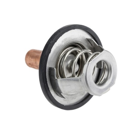 Thermostat d'Eau Pour Renault Scenic R19 Rapid Thalia Trafic VEL Satis Dacia