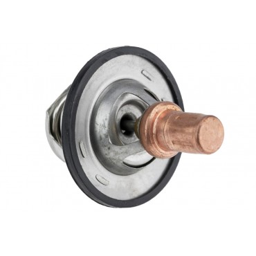 Thermostat d'Eau Pour Renault Scenic R19 Rapid Thalia Trafic VEL Satis Dacia