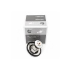 Thermostat d'Eau Pour Nissan Hyundai Kia Mitsubishi 2120096002 2550025001