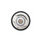 Thermostat d'Eau Pour Nissan Hyundai Kia Mitsubishi 2120096002 2550025001