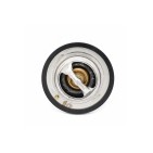 Thermostat d'Eau Pour Nissan Hyundai Kia Mitsubishi 2120096002 2550025001