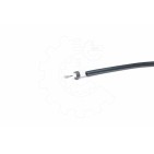 Cable de Frein à Main Arrière Pour Renault Laguna 7700841026