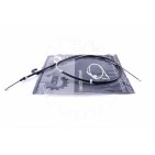 Cable de Frein à Main Arrière Pour Renault Megane III 364000001R