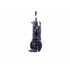 Serrure de Porte Avant Gauche Pour BMW Série 5 F10 F11 51217154517 51217185689