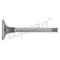 Soupape d'Admission Pour VW Caddy II Golf III Audi Seat Skoda 069109601F