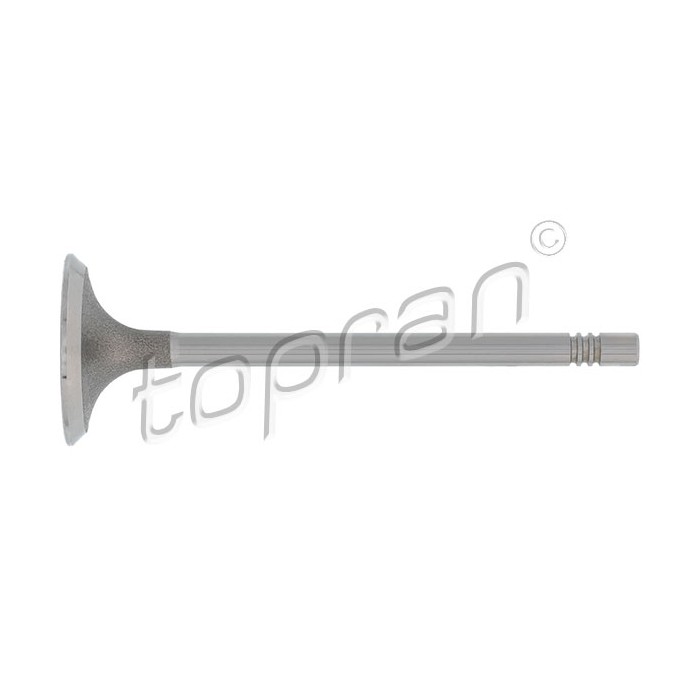 Soupape d'Admission Pour VW Caddy II Lupo Polo Seat Arosa Cordoba Ibiza II Inca