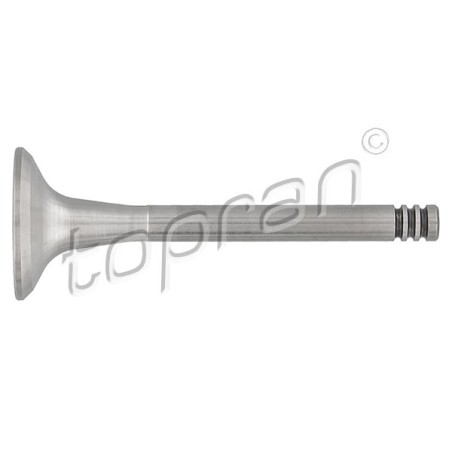 Soupape d'échappement Pour VW Audi 80 90 Seat 026109611A 034109611B 035109611J