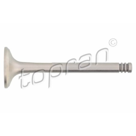 Soupape d'échappement Pour VW Audi Seat Volvo 046109611C 9186566 046109611F