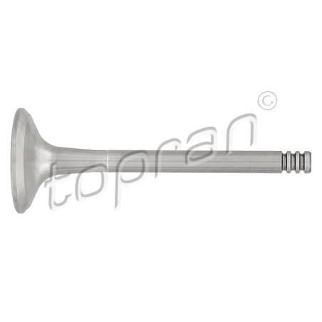 Soupape d'échappement Pour VW Audi Seat Skoda 048109611B 048109611C 078109611C