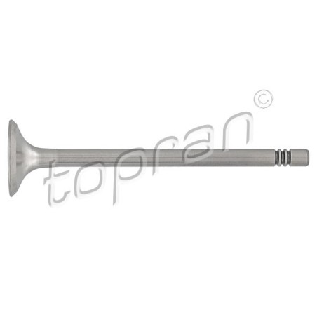 Soupape d'échappement Pour VW Audi Seat Skoda 036109611AE 036109611K 03C109611G