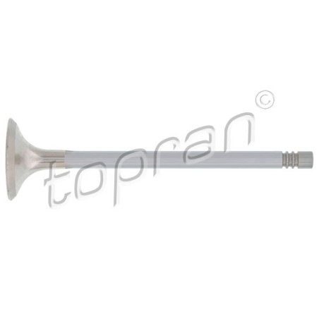 Soupape d'échappement Pour VW Audi Seat Skoda 06D109611H 06D109611K 06D109611L