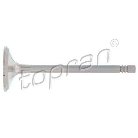 Soupape d'échappement Pour VW Bora Audi Seat Skoda 06B109611B 06B109611C