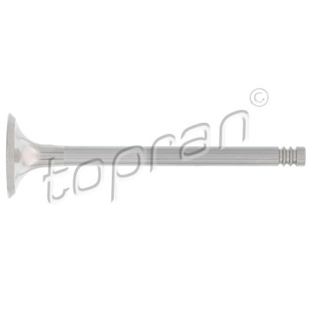 Soupape d'échappement Pour VW Golf Plus V Audi A3 A6 Seat Skoda 03G109611D