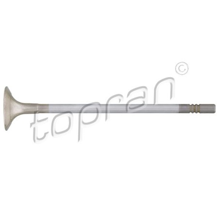 Soupape d'échappement Pour VW Beetle Caddy IV Golf Audi Seat Skoda 04E109611K