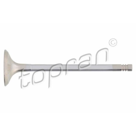 Soupape d'échappement Pour BMW Série 3 E36 E46 5 E34 E39 E60 E61 11341738219