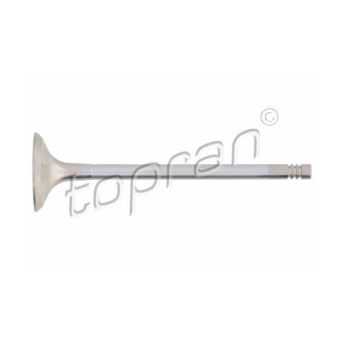 Soupape d'échappement Pour BMW Série 3 E36 E46 5 E34 E39 E60 E61 11341738219