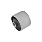 Silent Bloc Différentiel Pour Mitsubishi Pajero III Canvas Top IV Van MR374574