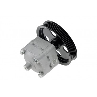 Pompe De Direction Assistée Pour Volvo S60 S80 V70 2.4 D/d5 Xc90 D3 30655101