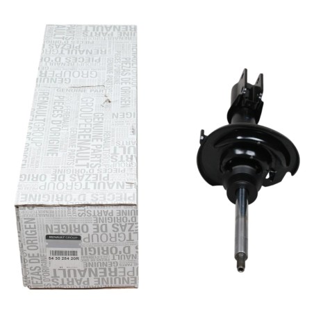 Amortisseur Avant Pour Renault Clio II III IV Modus