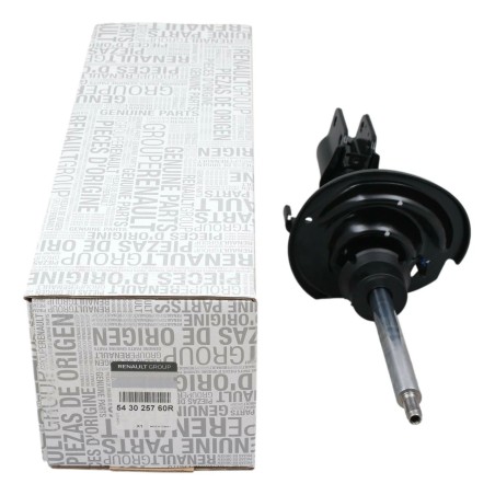 Amortisseur Avant Pour Renault Clio II III IV Modus