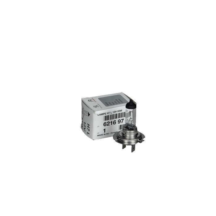Ampoule H7 12/55W Pour Audi A4 A5 A6 A7 A8 Q5 Q7 BMW Série 5 F07 Ford Hyundai