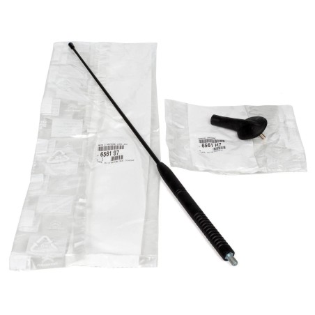 Antenne 42cm Pour Peugeot 206