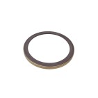 Bague ABS Arrière Pour Renault Mascott
