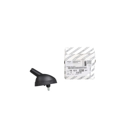 Base d'Antenne Pour Peugeot Boxer