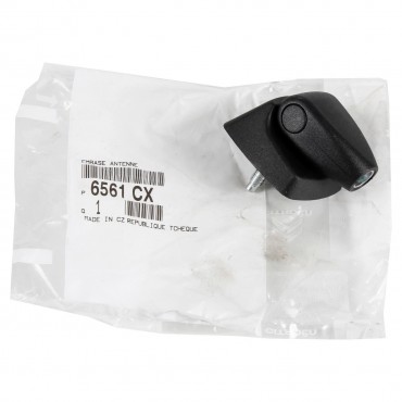 Base d'Antenne Pour Peugeot 107 Citroën C1