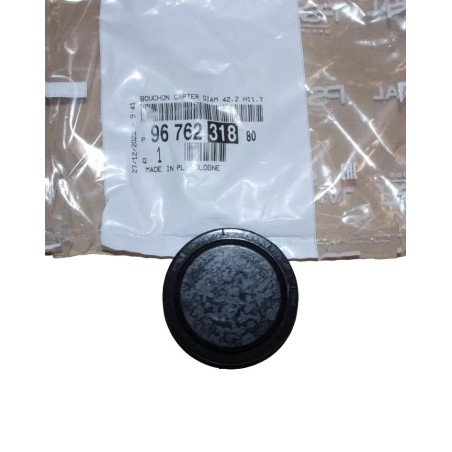 Bouchon Joint d'étanchéité Bloc Moteur Pour Peugeot 108 Opel Fiat Citroën