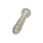 Vis Tension Courroie de Distribution Pour Renault Laguna III