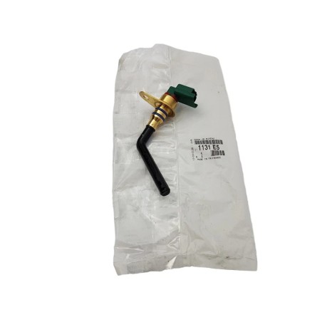 Capteur Sonde Niveau d'Huile Pour Peugeot 206 307 407 806 807 Expert Citroën C4