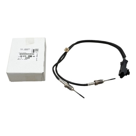 Capteur Température des Gaz Pour Peugeot 308 II Expert Citroën C4 C5 Jumpy