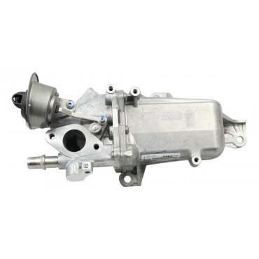 Radiateur de Vanne EGR Pour Renault Master III Nissan NV400