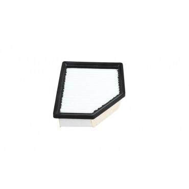 Filtre à air Pour Renault Nissan Mitsubishi 165466RA0A 165466RA0A, 165466RC1A