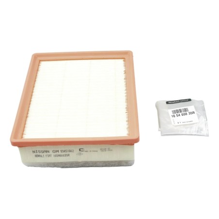 Filtre à air Pour Renault Trafic III Opel Fiat Nissan 04422252, 4422252