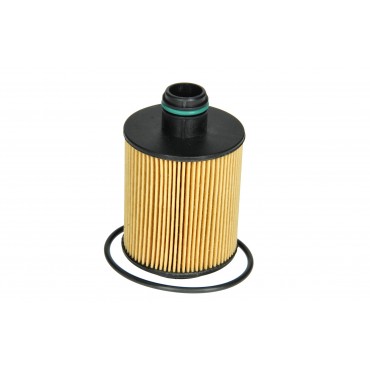 Filtre à Huile Pour Fiat 500 Ford Alfa Romeo Chevrolet 0071751114, 55207208