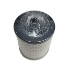 Filtre à Carburant Pour Peugeot 407 Citroën C5 C6