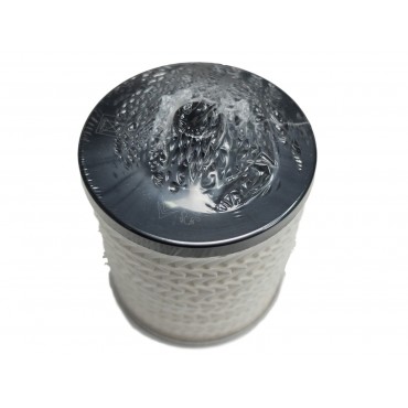 Filtre à Carburant Pour Peugeot 407 Citroën C5 C6